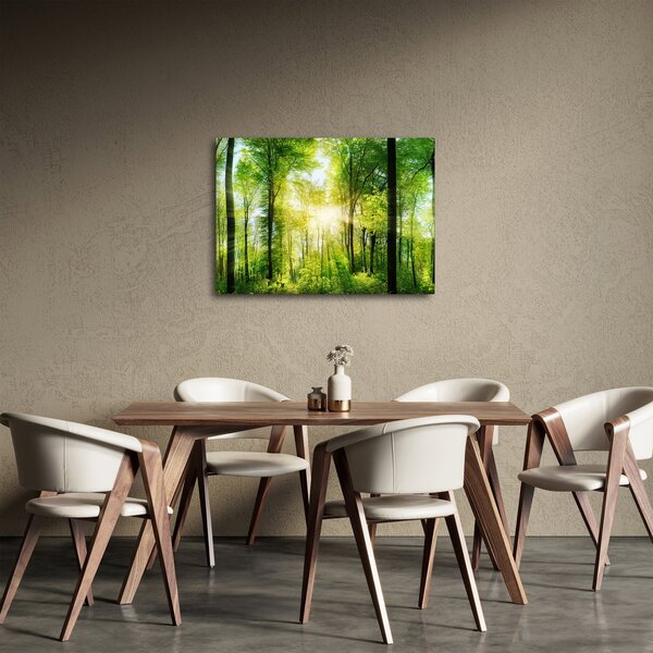 Slika - Zora u šumi (70x50 cm)