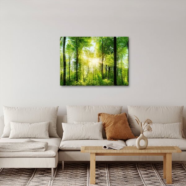 Slika - Zora u šumi (70x50 cm)