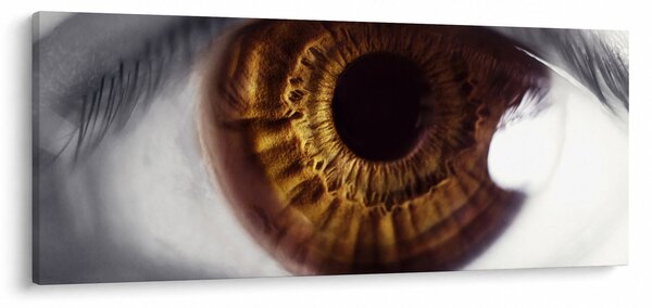 Slika - Oko (120x50 cm)
