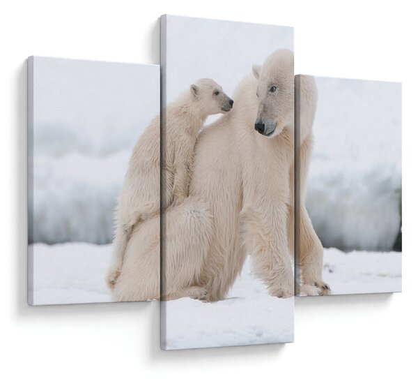 Slika - Polarni medvjedi (90x60 cm)