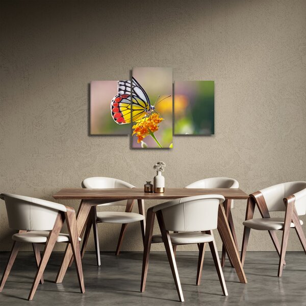 Slika - Leptir na cvijetu (90x60 cm)