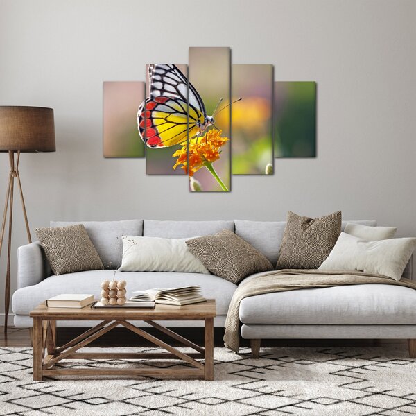 Slika - Leptir na cvijetu (150x105 cm)