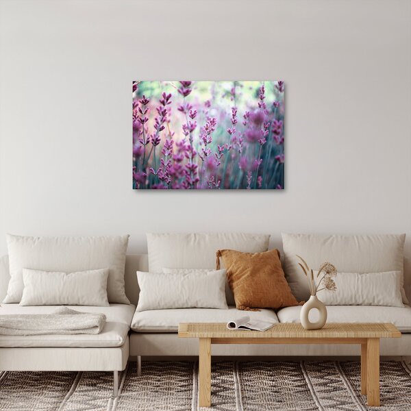 Slika - Lavanda (70x50 cm)