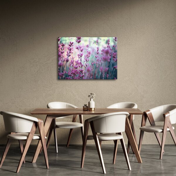 Slika - Lavanda (70x50 cm)