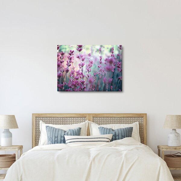 Slika - Lavanda (70x50 cm)