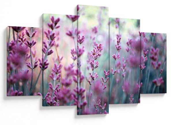 Slika - Lavanda (150x105 cm)