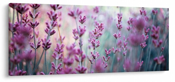 Slika - Lavanda (120x50 cm)