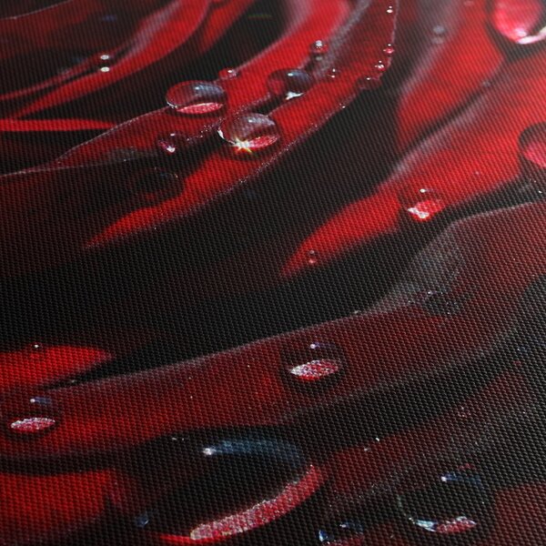 Slika - Detalj ruže (90x60 cm)