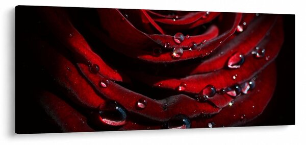 Slika - Detalj ruže (120x50 cm)