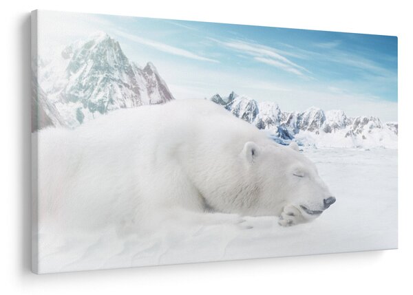 Slika - Polarni medvjed (90x60 cm)