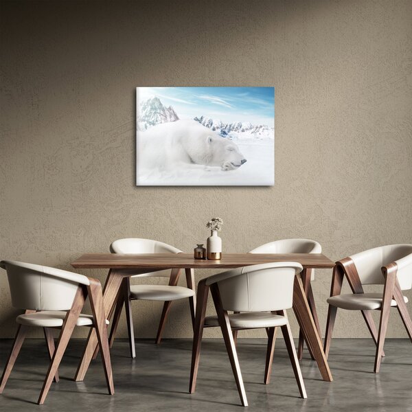 Slika - Polarni medvjed (70x50 cm)