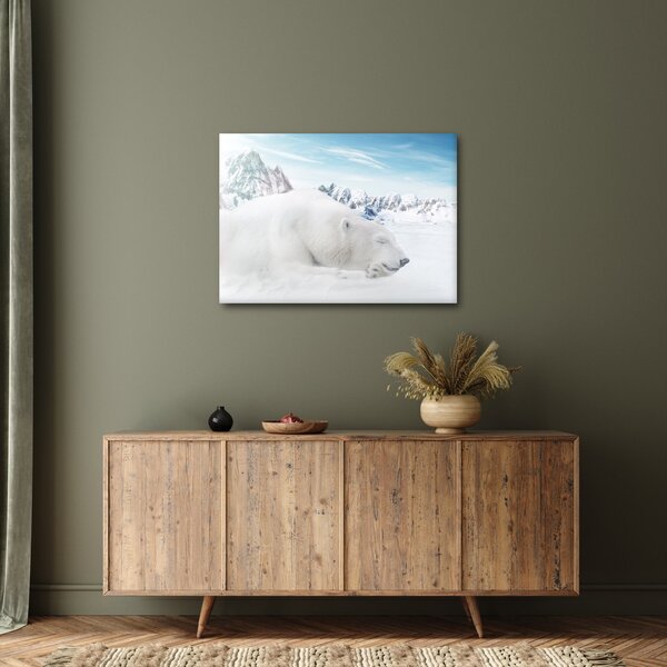 Slika - Polarni medvjed (70x50 cm)