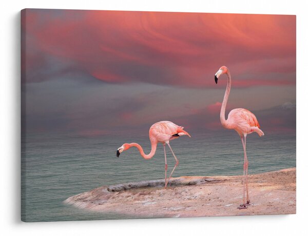 Slika Flaminga (70x50 cm)