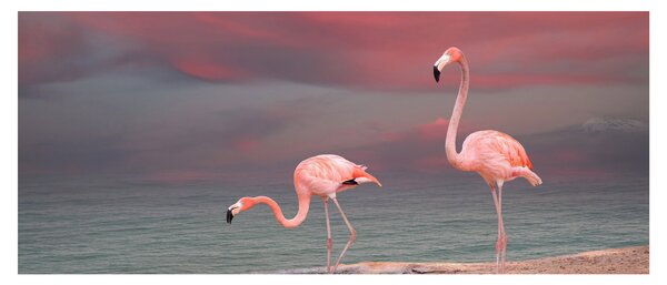 Slika Flaminga (120x50 cm)