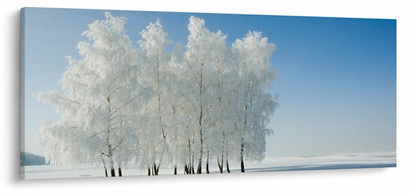 Slika - Snježni krajolik (120x50 cm)