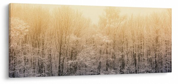 Slika zaleđene šume (120x50 cm)