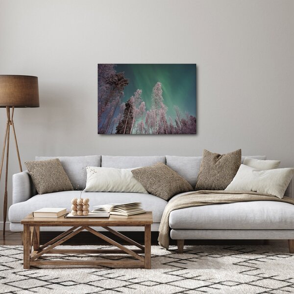 Slika polarne svjetlosti nad zaleđenim drvećem (70x50 cm)