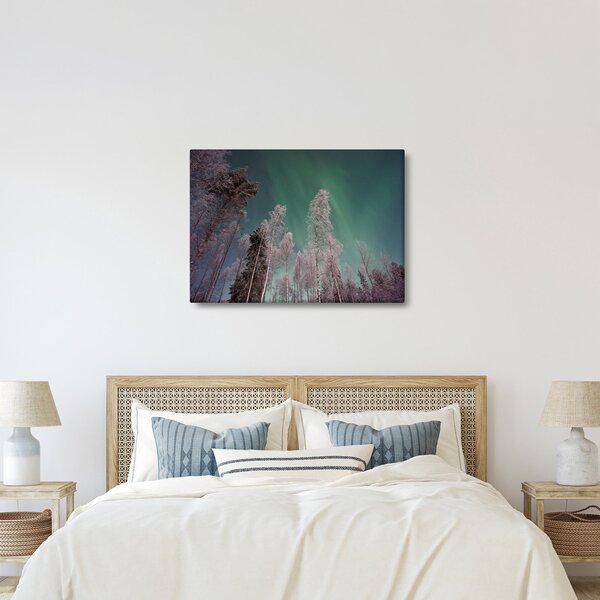 Slika polarne svjetlosti nad zaleđenim drvećem (70x50 cm)