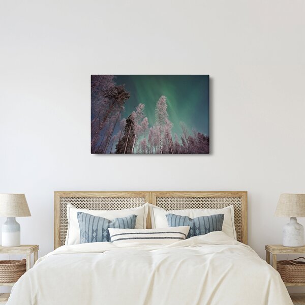 Slika polarne svjetlosti nad zaleđenim drvećem (90x60 cm)