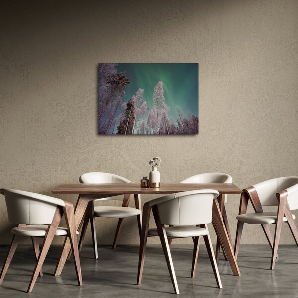 Slika polarne svjetlosti nad zaleđenim drvećem (70x50 cm)