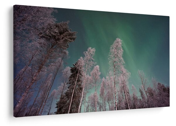 Slika polarne svjetlosti nad zaleđenim drvećem (90x60 cm)