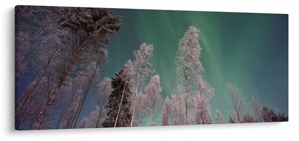 Slika polarne svjetlosti nad zaleđenim drvećem (120x50 cm)