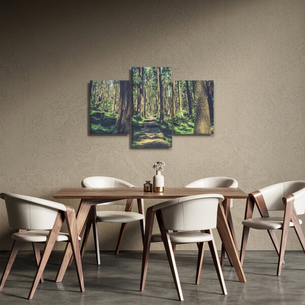 Slika staze između drveća (90x60 cm)