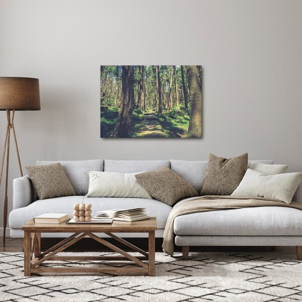 Slika staze između drveća (70x50 cm)