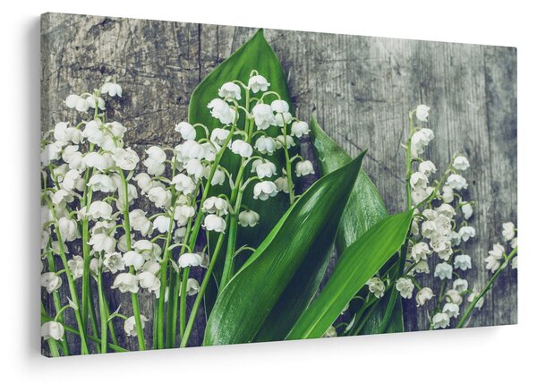 Slika đurđica (90x60 cm)