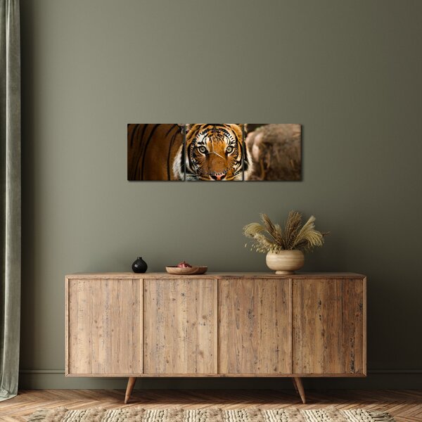 Slika tigra (sa satom) (90x30 cm)