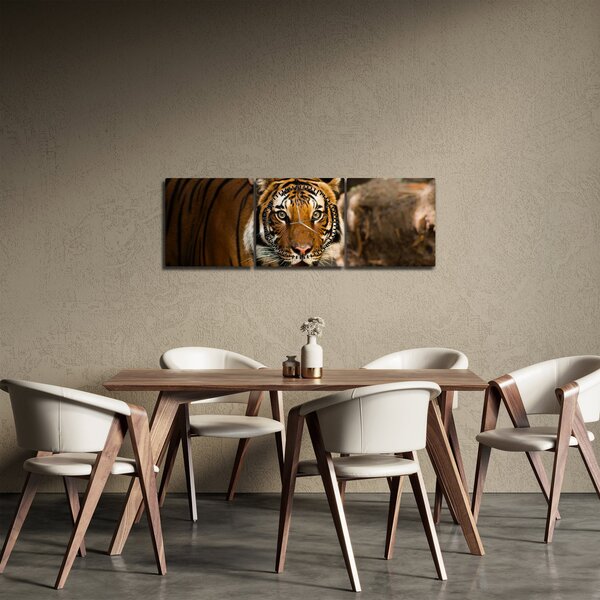 Slika tigra (sa satom) (90x30 cm)