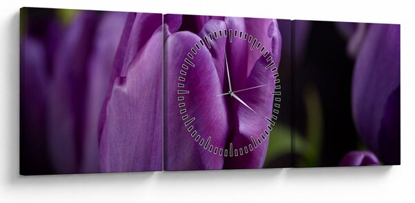 Slika cvjetova tulipana (sa satom) (90x30 cm)