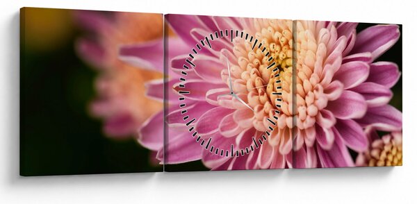 Slika cvijeta izbliza (sa satom) (90x30 cm)