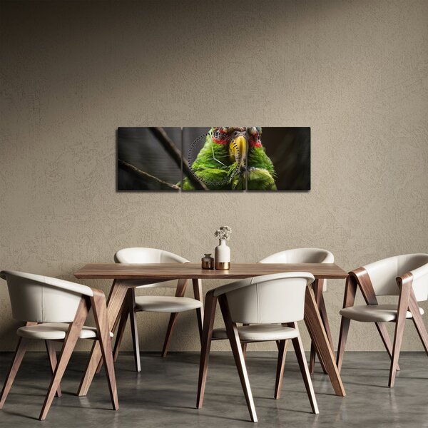 Slika papige (sa satom) (90x30 cm)