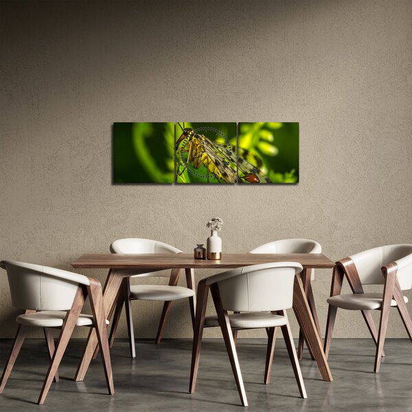 Slika kukca (sa satom) (90x30 cm)