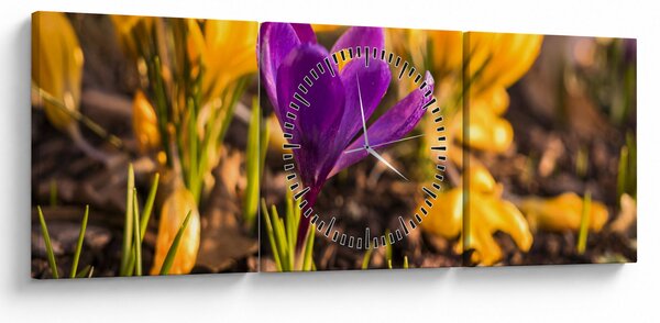 Slika ljubičastog cvijeta (sa satom) (90x30 cm)