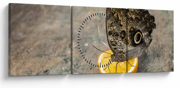 Slika leptira (sa satom) (90x30 cm)