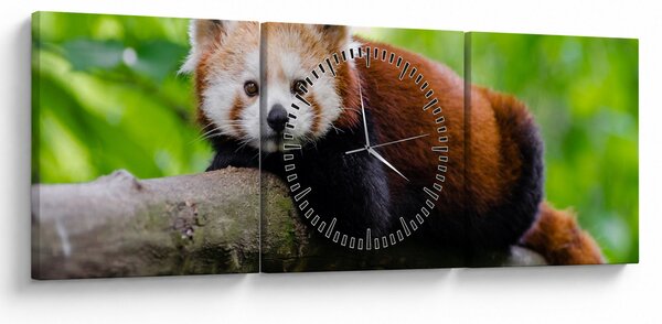 Slika crvene pande (sa satom) (90x30 cm)