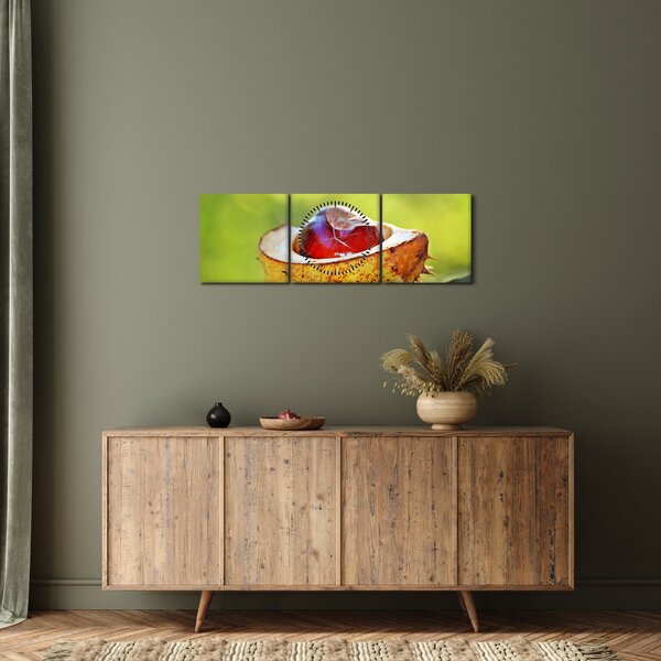 Slika kestena (sa satom) (90x30 cm)