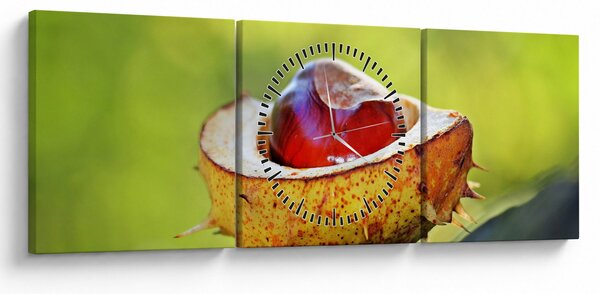 Slika kestena (sa satom) (90x30 cm)