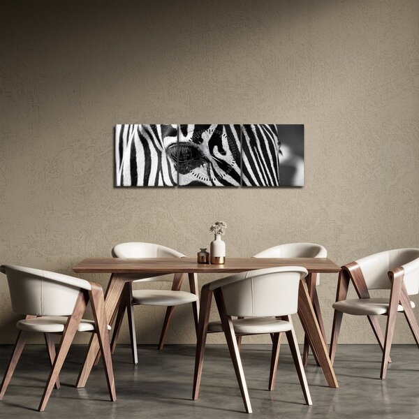 Slika zebre (sa satom) (90x30 cm)