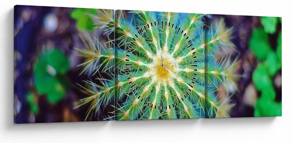 Slika kaktusa (sa satom) (90x30 cm)