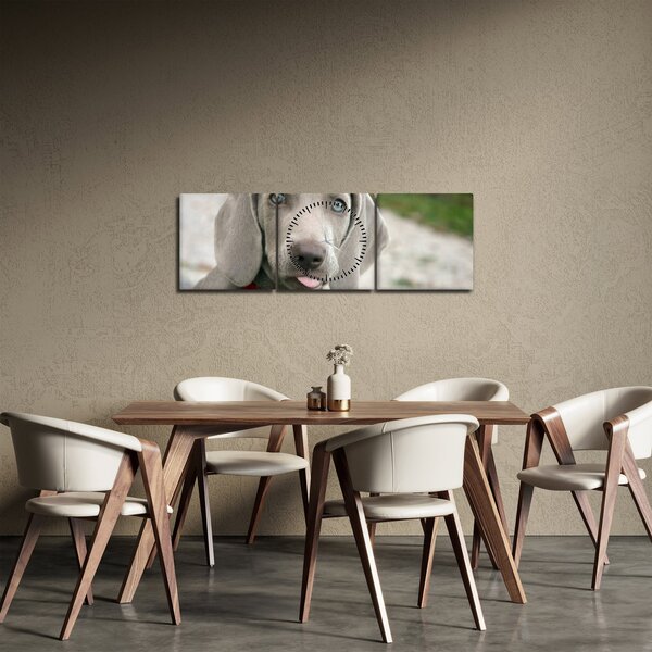 Slika - štene Weimaranera (sa satom) (90x30 cm)