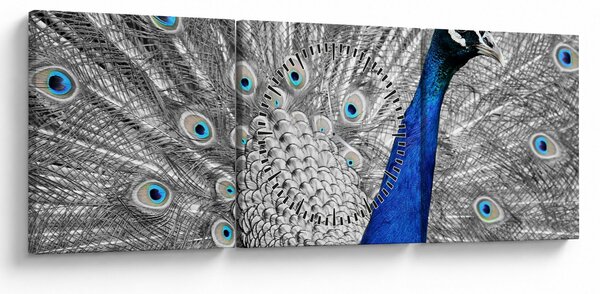Slika - plavi paun (sa satom) (90x30 cm)