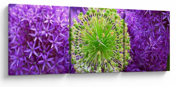 Slika cvijeta (sa satom) (90x30 cm)
