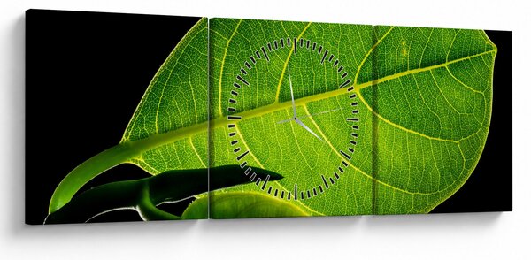 Slika - zeleni list (sa satom) (90x30 cm)