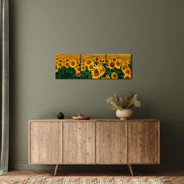 Slika polja suncokreta (sa satom) (90x30 cm)