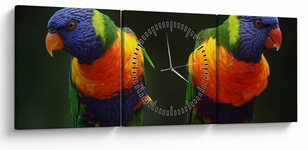 Slika papiga (sa satom) (90x30 cm)