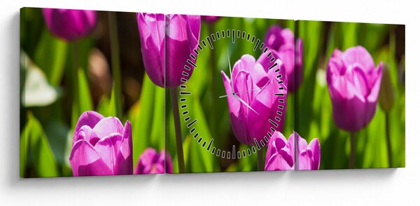 Slika tulipana na livadi (sa satom) (90x30 cm)