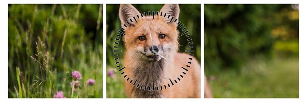 Slika lisice (sa satom) (90x30 cm)